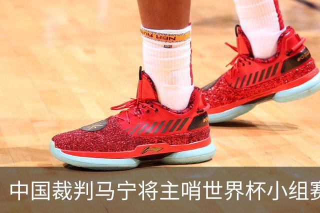 中国裁判马宁将主哨世界杯小组赛第二轮比赛